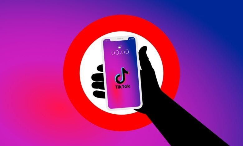 TikTok banned in Pakistan for 'immoral, indecent' content