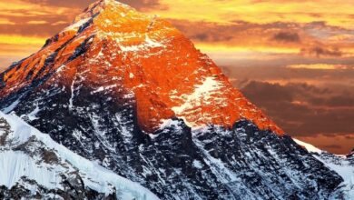 Photo of Everest Short Trek Experience