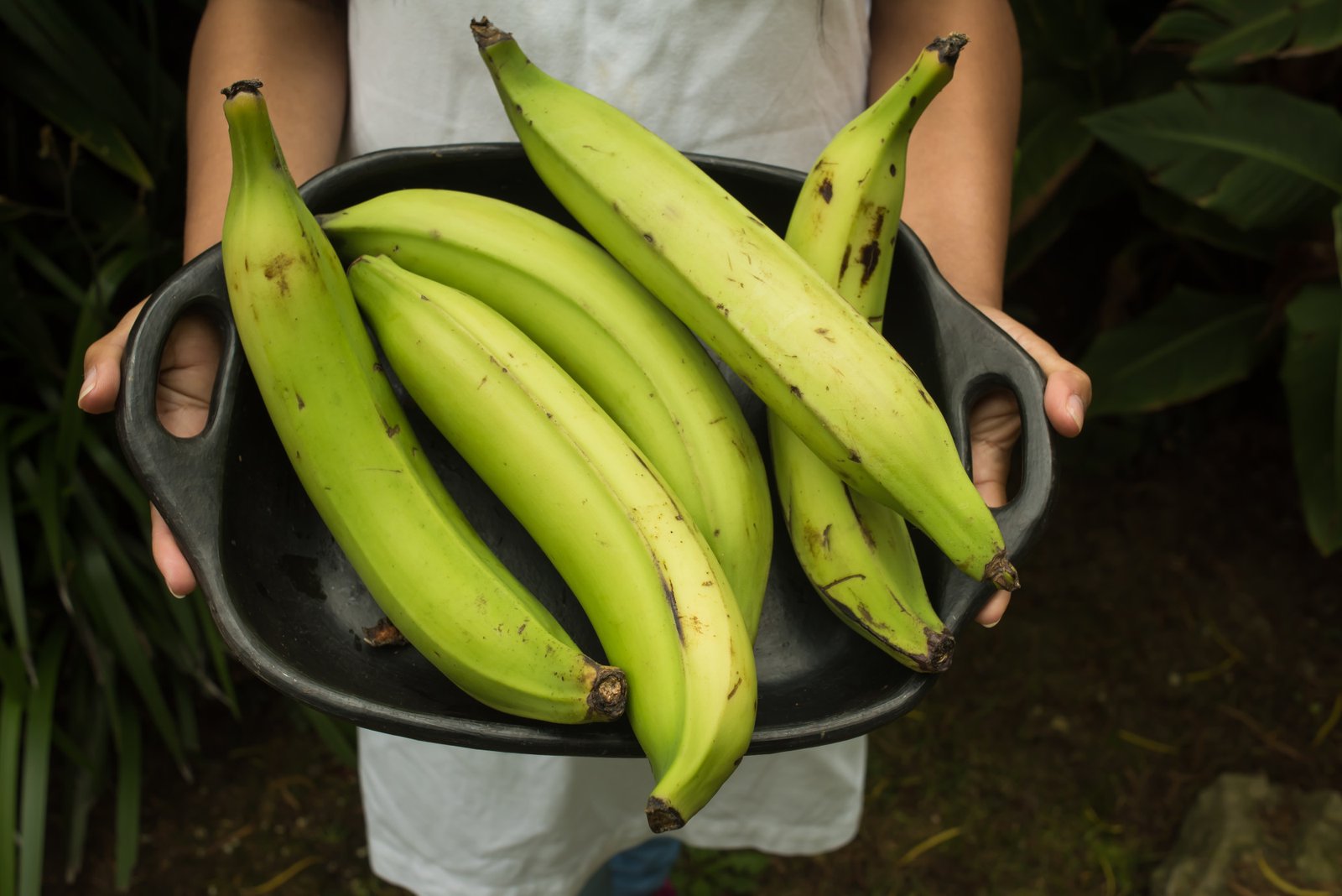 5-interesting-reasons-to-incorporate-plantain-starch-into-your-cooking