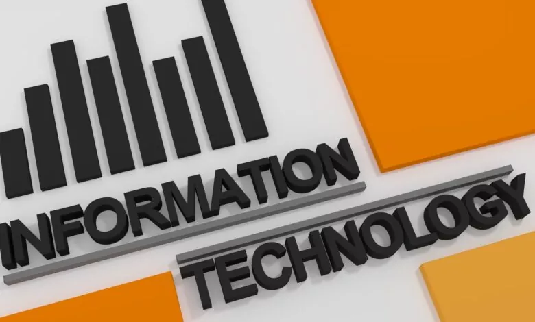 healthcare it support