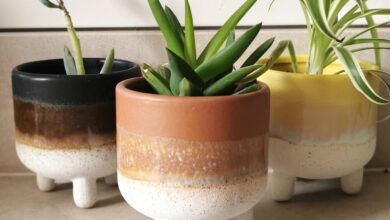 Photo of Why Ceramic Flower Pots Are Best For Your Garden