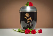 best cremation services
