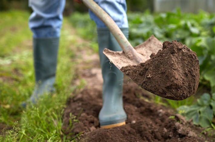 Guide To: How To Use Shovel In Gardening | 7 Uses