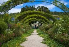 7 Special Different Gardening Styles You Should Try