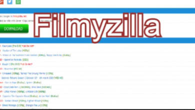 Photo of How to Watch Filmyzilla Without Risking Your Privacy