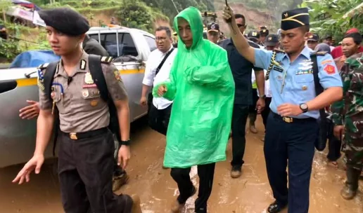 Monyet Pakai Jas Hujan