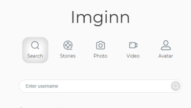 Photo of The Basics of Imginn