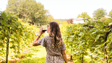 Photo of Best Local Wineries In Kansas City