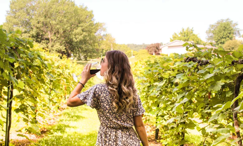 Best Local Wineries In Kansas City