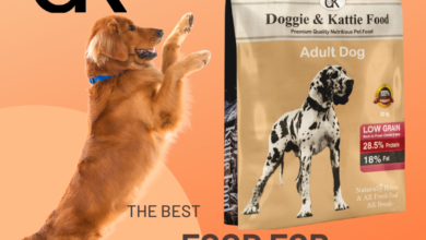 Why Doggie and Kattie Adult Dog Food is the Best Choice