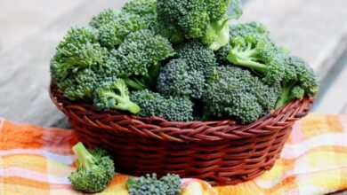 Health Benefits Of Broccoli For a Healthy Lifestyle