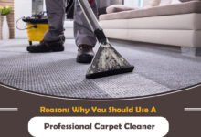 Professional Carpet Cleaner