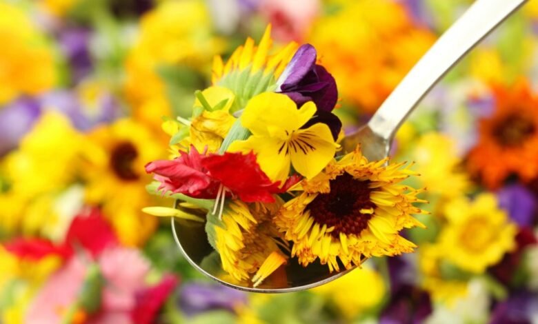 The Fascinating World of Edible Flowers: Cooking and Decorating with Floral Flavors