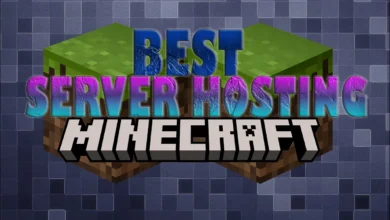 Minecraft Server Hosters