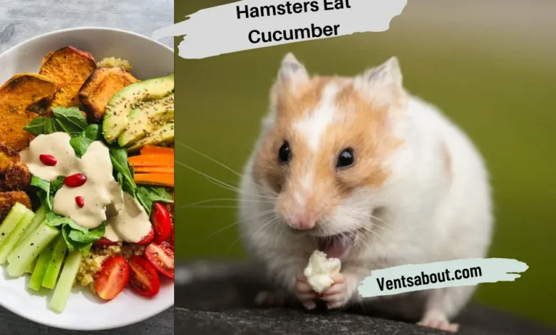 Can Hamsters Eat Cucumber