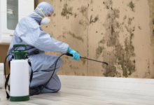 Paint Removal Melbourne