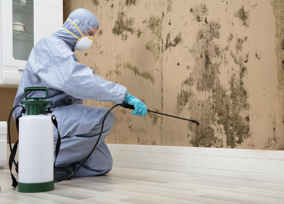 Paint Removal Melbourne