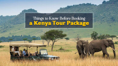7 Things to Know Before Booking a Kenya Tour Package